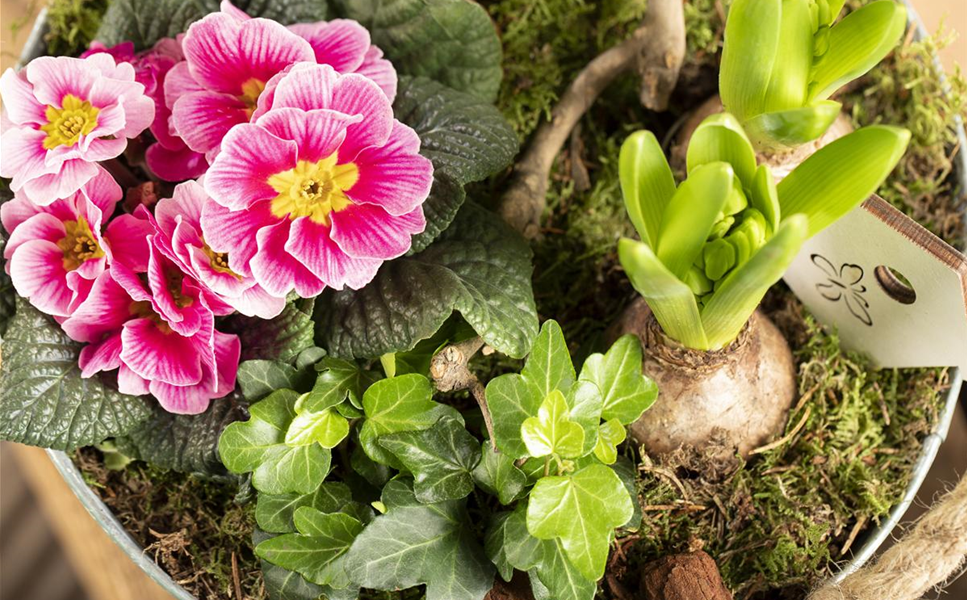 Öffnungszeiten: 09.00 - 18.30 Uhr - ab Montag 13.02. sind wir wieder wie gewohnt für Sie da! Öffnungszeiten: 09.00 - 18.30 Uhr - ab Montag 13.02. sind wir wieder wie gewohnt für Sie da!