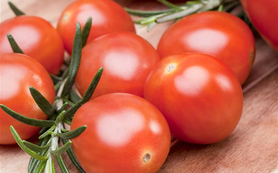 Nutzgarten - Leckereien aus dem Garten! Nutzgarten - Leckereien aus dem Garten!