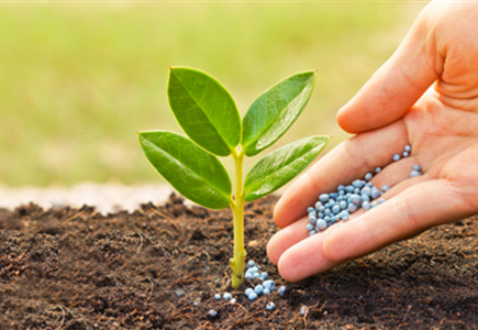 Dünger und Pflanzenschutz