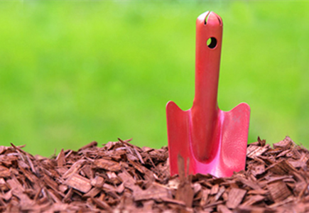 Erde, Mulch und Kies