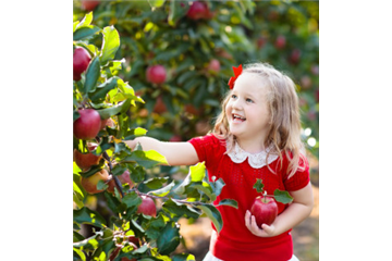 OBSTGARTEN FÜR KINDER