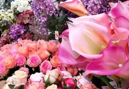 Termine und Veranstaltungen