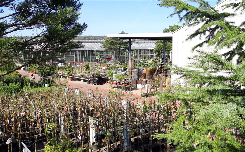 Pflanzenmarkt Schlereth: Ihr Gärtner für Haus und Garten - EINBLICKE IN UNSER GARTENCENTER