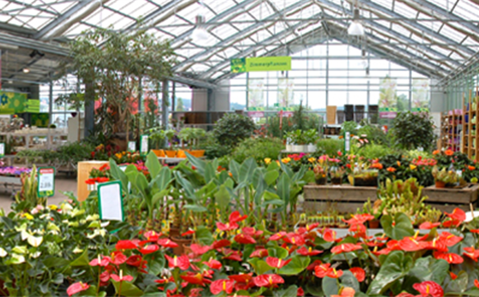 Beratung & Serviceleistungen - Die richtige Pflege Beratung & Serviceleistungen - Die richtige Pflege