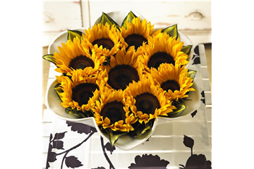 DIE TOP 8 DER HERBSTBLUMEN DIE TOP 8 DER HERBSTBLUMEN