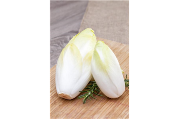 HERBSTSALATE HERBSTSALATE