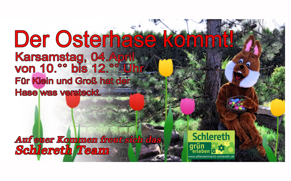 Osterhase